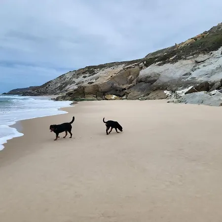 Silver Coast Villa *